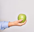 Hand of caucasian young woman holding green apple fruit over isolated white background Royalty Free Stock Photo