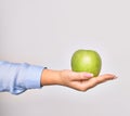 Hand of caucasian young woman holding green apple fruit over isolated white background Royalty Free Stock Photo