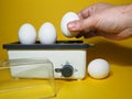 Hand with chicken egg. Electric egg cooker Royalty Free Stock Photo