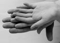 Hand child in the hands of mother and father closeup.