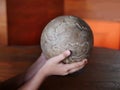 Hand of child hold on the world ball