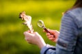 Hand of child with magnifying glass