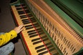 Hand of Child Playing Medieval Harpsichord in a Castle in Italy