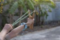 Hand of a child playing shooting wooden catapults. Royalty Free Stock Photo