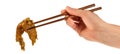 Hand with chopsticks with meal on white background Royalty Free Stock Photo