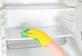 Deep Cleaning service. House cleaning. Washing fridge. Woman hand in yellow rubber protective glove cleaning white open empty Royalty Free Stock Photo