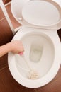 Hand cleans a toilet bowl in a bathroom