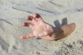 Hand closeup. Hands buried in sand on a beach. Royalty Free Stock Photo
