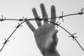 Hand clutch at barbed wire fence. Black white concept