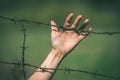 Hand clutch at barbed wire fence on green background - vintage r