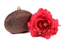 Hand clutch and flower Royalty Free Stock Photo