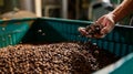 The hand with coffee beans.AI generated image Royalty Free Stock Photo