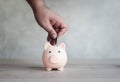 Hand with coin put in the piggy bank for growth saving money, Concept investment for financial freedom plan Royalty Free Stock Photo