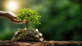 Hand Coin tree The tree grows on the pile. Saving money for the future. Investment Ideas and Business Growth. Green background Royalty Free Stock Photo