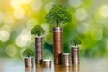 Hand Coin tree The tree grows on the pile. Saving money for the future. Investment Ideas and Business Growth. Green background wit