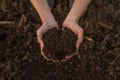 Hand collect soil in hand top view Royalty Free Stock Photo