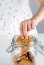 Hand in the cookie jar taking a cookie