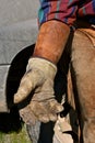 Cowboy gloves and leather arm protector