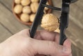 Hand cracking walnut witt unfocused nuts on the background Royalty Free Stock Photo