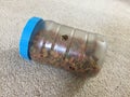 Hand crafted Cat Food Treat Dispenser