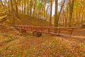 Hand Crafted Foot Bridge in the Fall Forest Royalty Free Stock Photo