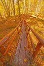 Hand Crafted Foot Bridge in the Fall Forest Royalty Free Stock Photo