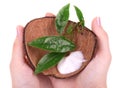 Hand cream in coconut shell