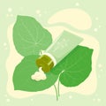 Hand cream or similar cosmetic product template on fresh green leaves background