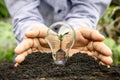 Hand Cropping in Rich Soil and Money Growing Trees in Energy Saving Bulbs Royalty Free Stock Photo