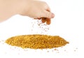 Hand crumbling bee pollen. Healthy nutrient ingredient. Royalty Free Stock Photo