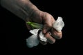 hand crumpling white fragile flower, metaphor of violence abuse aggression