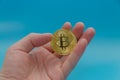 In the hand of cryptocurrency bitcoin Golden, on blue background Royalty Free Stock Photo