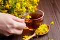 Hand with cup of Hypericum perforatum plant flowers tea - medicinal herbs treatment Royalty Free Stock Photo