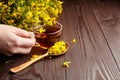 Hand with cup of medicinal herbs drink - Hypericum perforatum or st johns wort plant flowers tea, herbal medicine Royalty Free Stock Photo