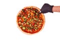 Hand cutting pizza with veggie vegetables, isolate top view
