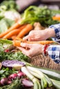 Hand cutting vegetables.Women hands is slicing carrot on wooden board near vegetables Royalty Free Stock Photo