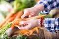 Hand cutting vegetables.Women hands is slicing carrot on wooden board near vegetables Royalty Free Stock Photo