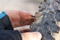 Hand of a cyclist touching a tire with a rusty nail Royalty Free Stock Photo