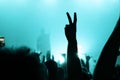 Hand of a dancing fan from the crowd at a concert of a popular group