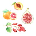 Hand dawn set with watercolor fruits, fresh food