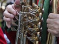 hand detail playing traditional band instrument