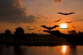 Hand devil liberate bat with silhouettes and water reflect Before sunset in Halloween day Concept background