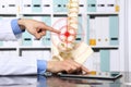 Hand doctor pointing the skeleton of spine, hernia concept causes