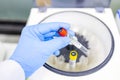 Hand of Doctor or scientist with blue rubber glove inside laboratory investigation unit or blood donation bank in hospital. Royalty Free Stock Photo