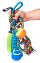 Hand with dog toy Royalty Free Stock Photo