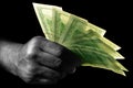 Hand with dollars Royalty Free Stock Photo