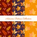 Hand draw autumn patterns. Autumn seamless pattern with different leaves and plants Royalty Free Stock Photo