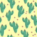 Hand draw cactus seamless pattern on isolated white background. ÃÂ¡ontinuous line drawing.