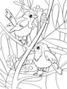 contour line illustration cartoon childish style cute birds tropical plants summer printable design element coloring antistress