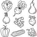 Hand draw doodle vegetable set